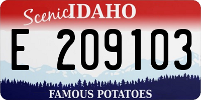 ID license plate E209103