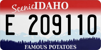 ID license plate E209110