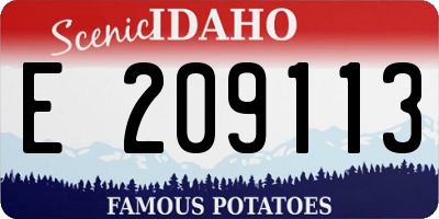 ID license plate E209113