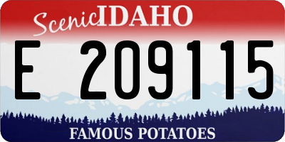 ID license plate E209115