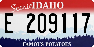 ID license plate E209117