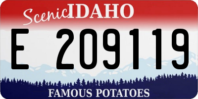 ID license plate E209119