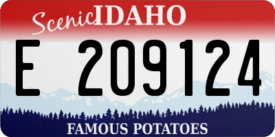 ID license plate E209124