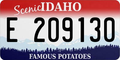ID license plate E209130