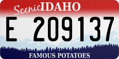 ID license plate E209137