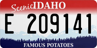 ID license plate E209141