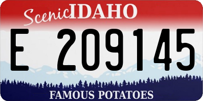 ID license plate E209145