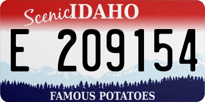 ID license plate E209154