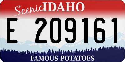 ID license plate E209161