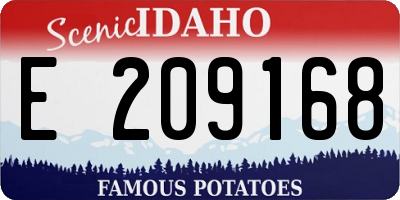 ID license plate E209168