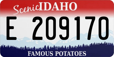 ID license plate E209170