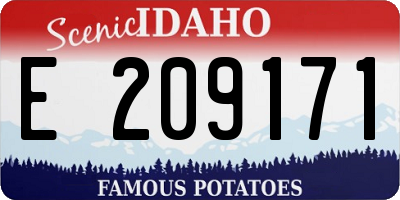 ID license plate E209171