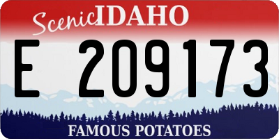 ID license plate E209173