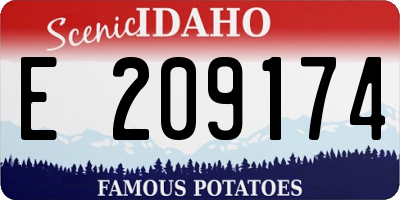 ID license plate E209174