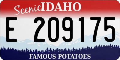 ID license plate E209175