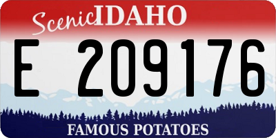 ID license plate E209176