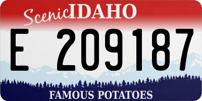 ID license plate E209187