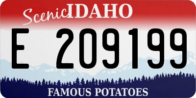 ID license plate E209199