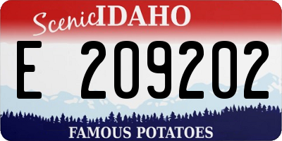 ID license plate E209202