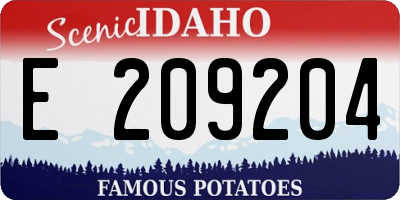 ID license plate E209204