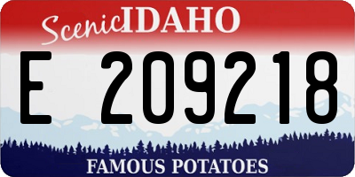 ID license plate E209218