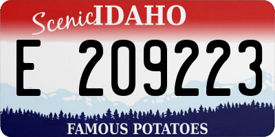 ID license plate E209223