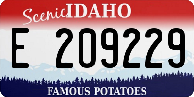 ID license plate E209229