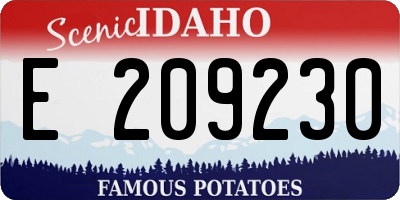 ID license plate E209230