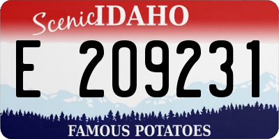 ID license plate E209231
