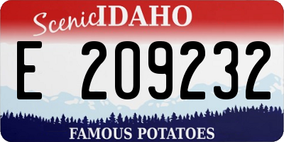 ID license plate E209232
