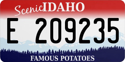 ID license plate E209235