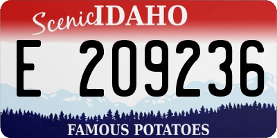 ID license plate E209236