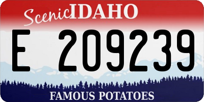 ID license plate E209239