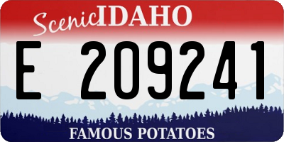 ID license plate E209241