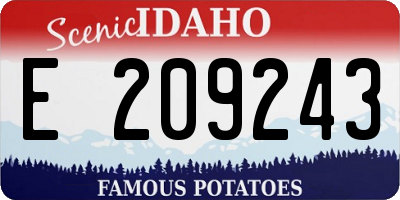 ID license plate E209243