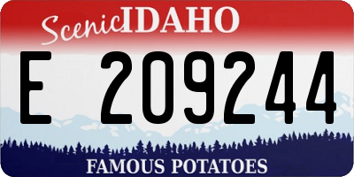 ID license plate E209244