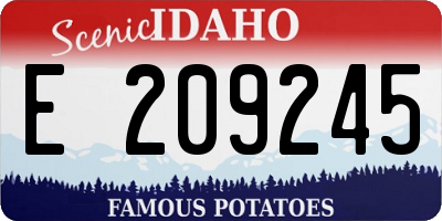ID license plate E209245