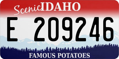 ID license plate E209246