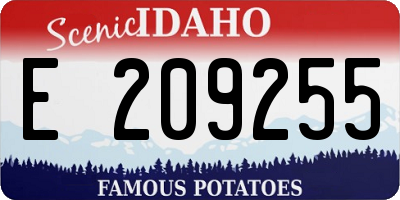 ID license plate E209255