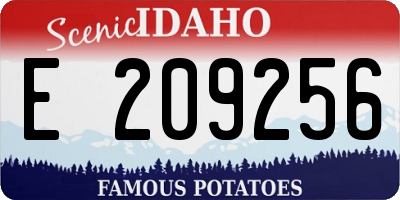 ID license plate E209256