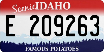 ID license plate E209263