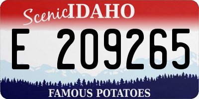 ID license plate E209265