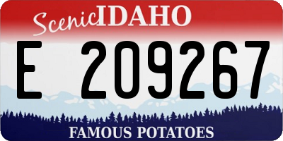 ID license plate E209267