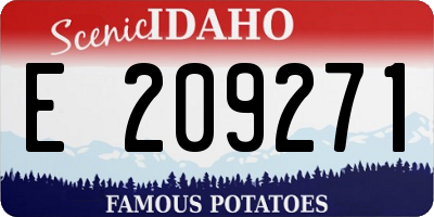 ID license plate E209271