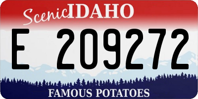 ID license plate E209272