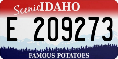 ID license plate E209273