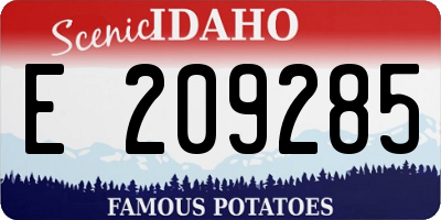 ID license plate E209285