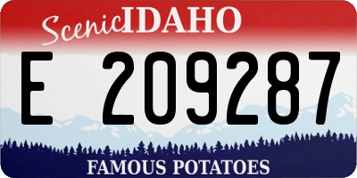 ID license plate E209287