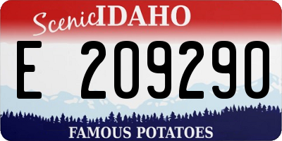 ID license plate E209290