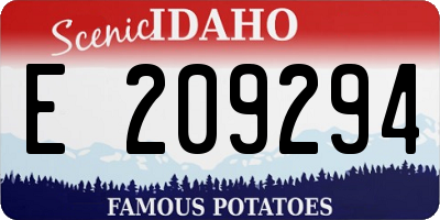 ID license plate E209294